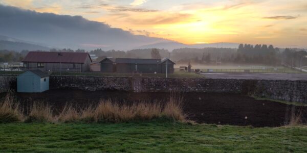 47b16509 937c 458c b044 dafa37fa1fcb