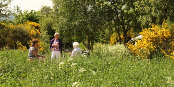 1 Sheila Hargreaves Wild Garden June 2018