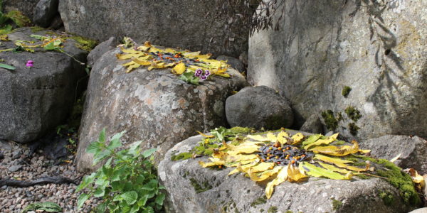 Land Art Kids